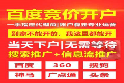 网络推广中的竞价广告：成功案例解析